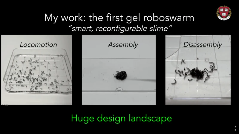 Liu’s physical gel swarms, developed before the fellowship, demonstrate locomotion, assembly and disassembly