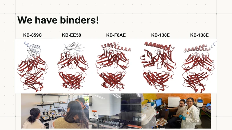 Protein-design renderings and laboratory photographs shown with Kopra’s binding hits