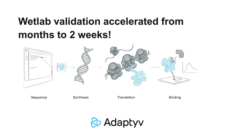 Kopra’s path from designed sequence to protein synthesis and binding tests through Adaptyv